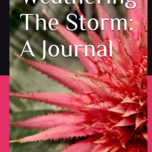 Weathering the Storm Journal